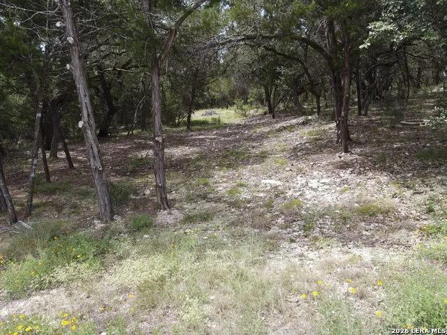 254 Flanders Fischer, TX 78623