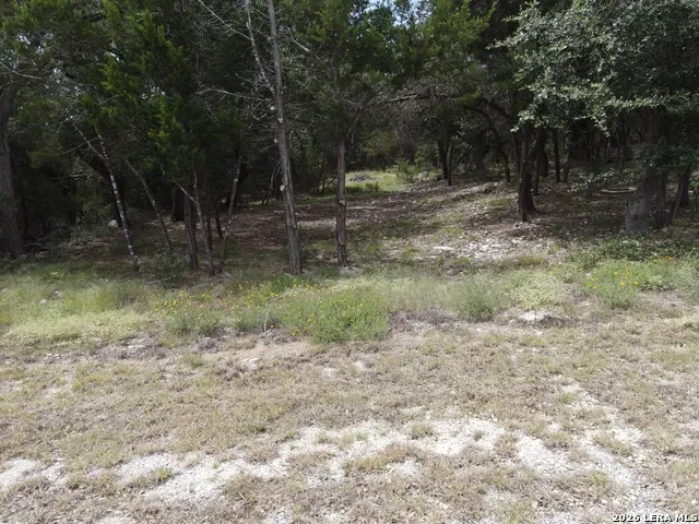 254 Flanders Fischer, TX 78623