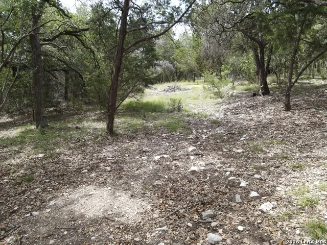 254 Flanders Fischer, TX 78623