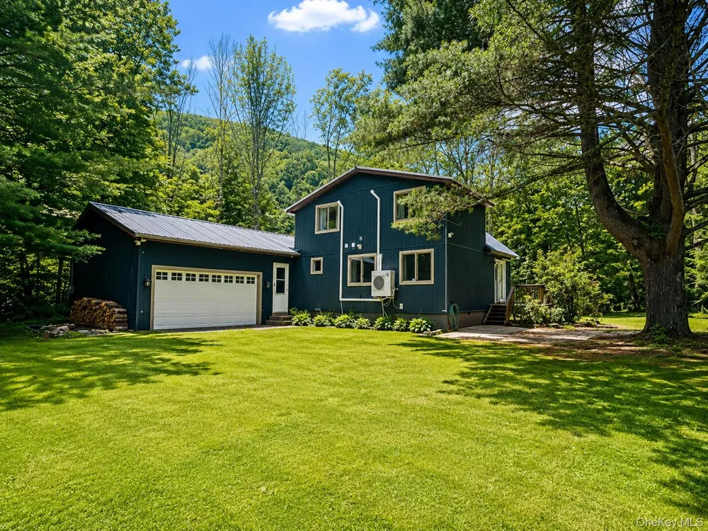 284 Mountain Pass East Branch, NY 13756