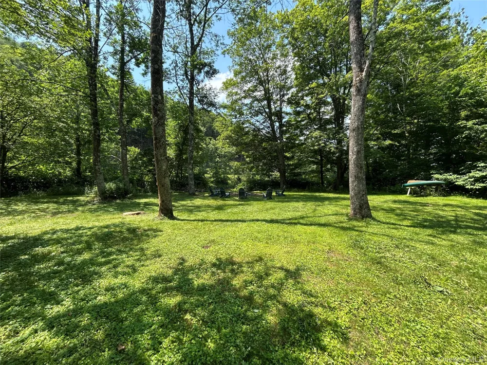 284 Mountain Pass East Branch, NY 13756