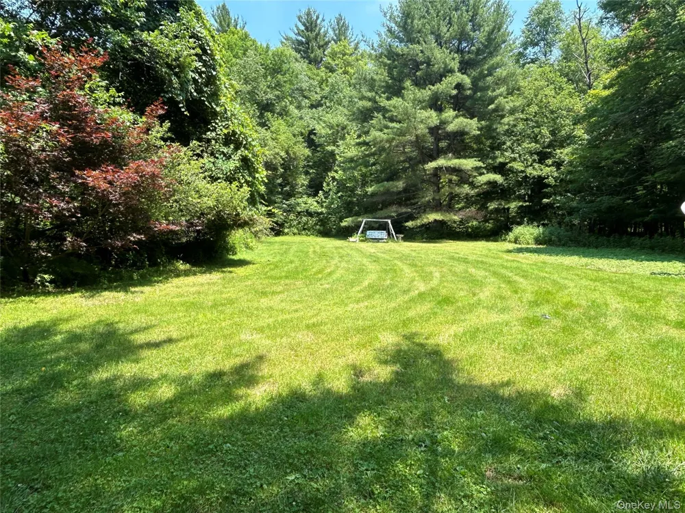 284 Mountain Pass East Branch, NY 13756
