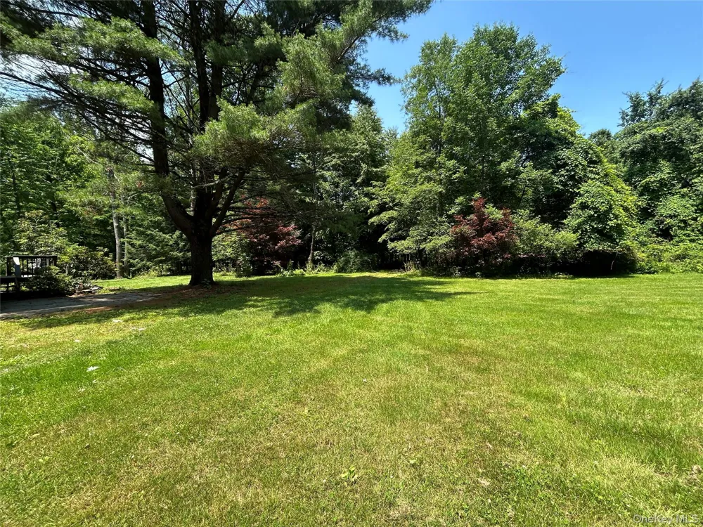 284 Mountain Pass East Branch, NY 13756