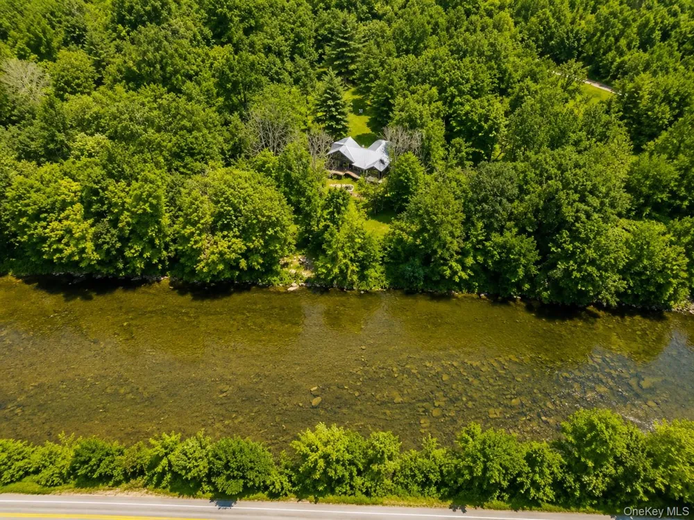 284 Mountain Pass East Branch, NY 13756