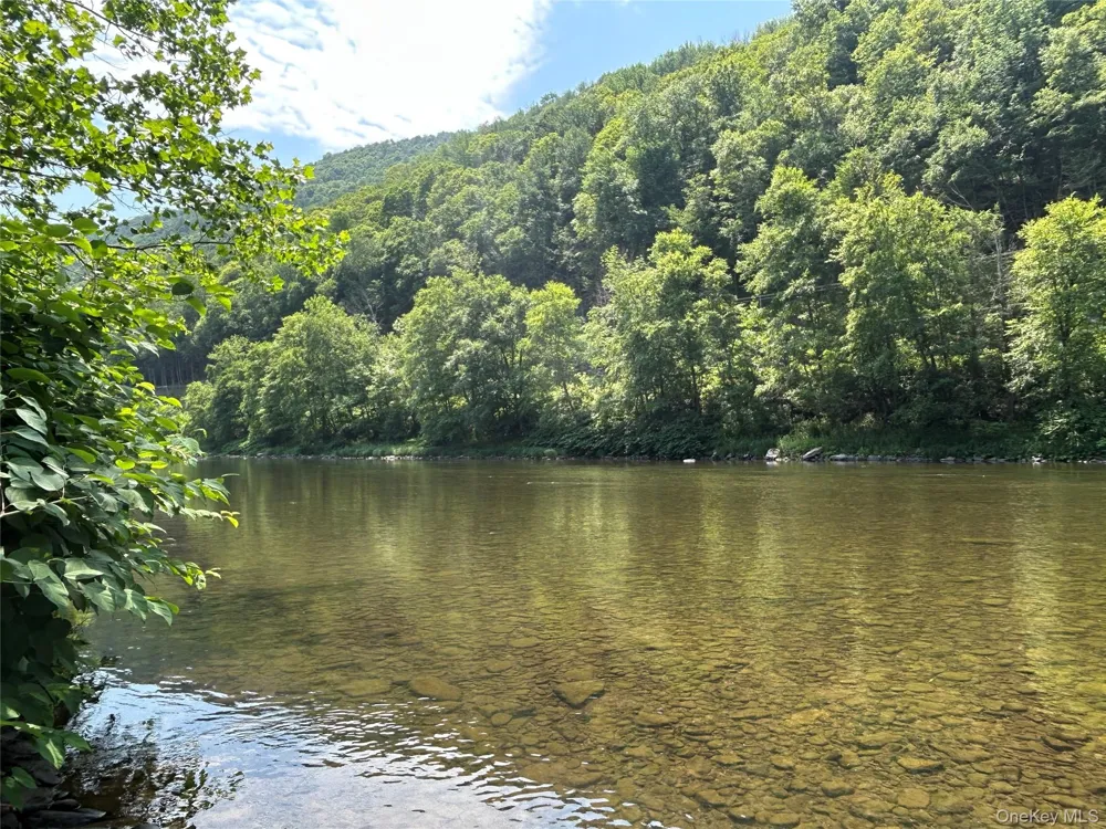 284 Mountain Pass East Branch, NY 13756
