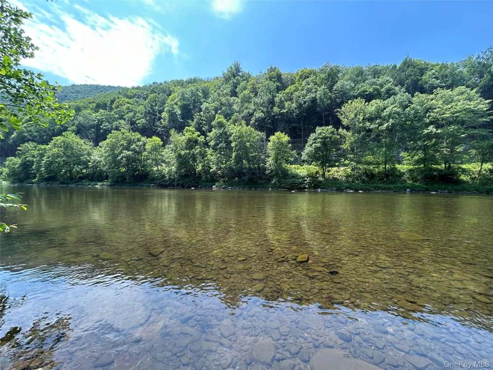 284 Mountain Pass East Branch, NY 13756