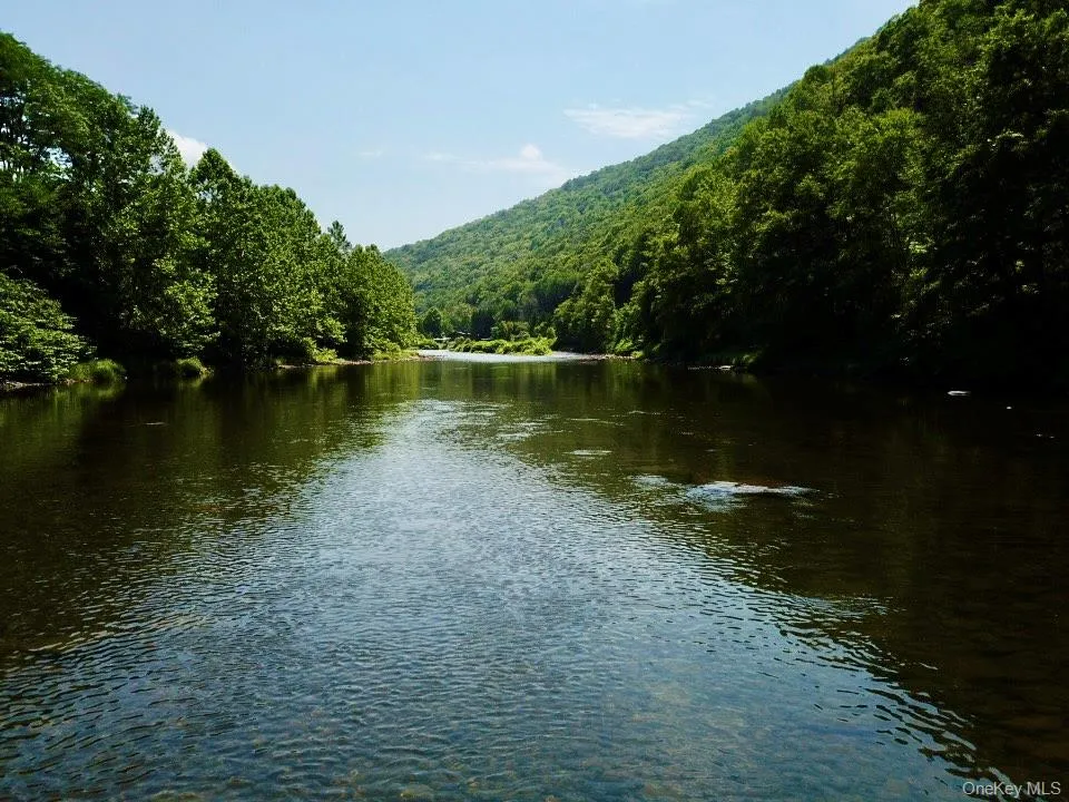 284 Mountain Pass East Branch, NY 13756