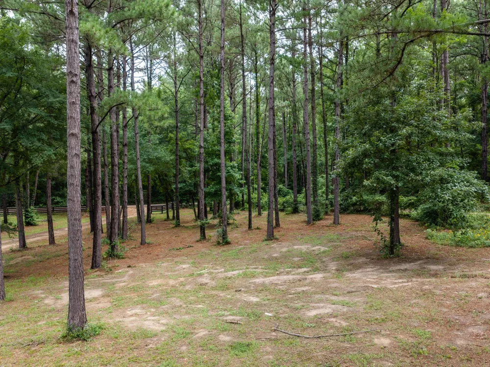 4240 County Road 2107 Rusk, TX 75785