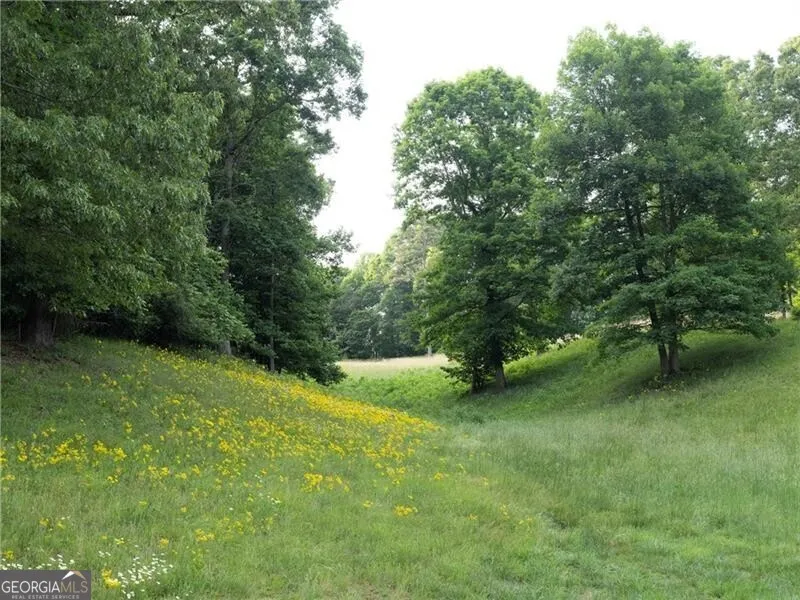 619 Hamp Mill RD Dahlonega, GA 30533
