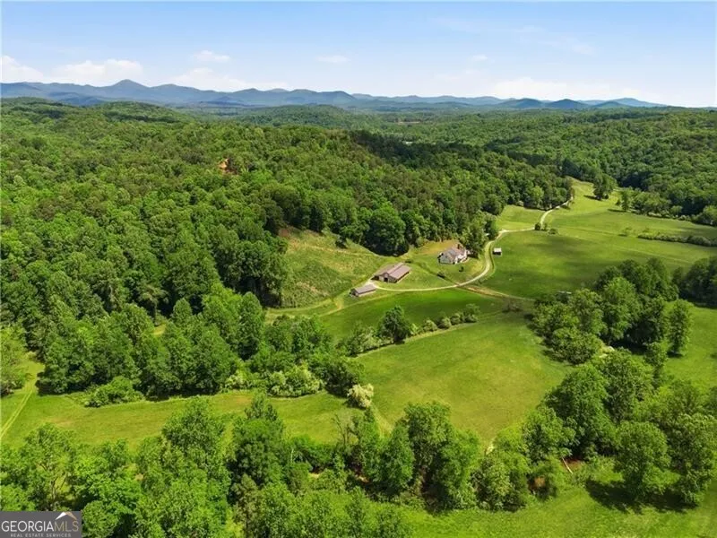 619 Hamp Mill RD Dahlonega, GA 30533