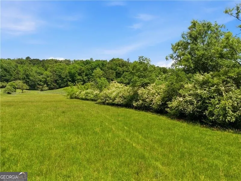 619 Hamp Mill RD Dahlonega, GA 30533