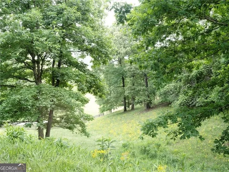 619 Hamp Mill RD Dahlonega, GA 30533