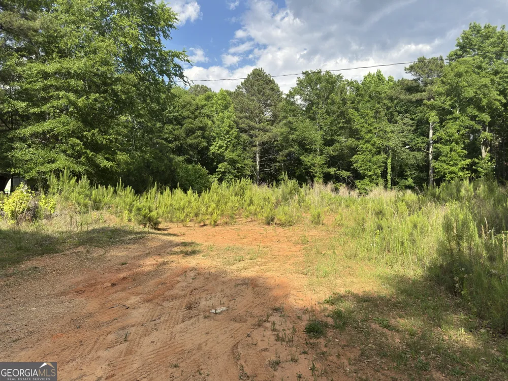 1 PARKER DRIVE Parker DR Statham, GA 30666