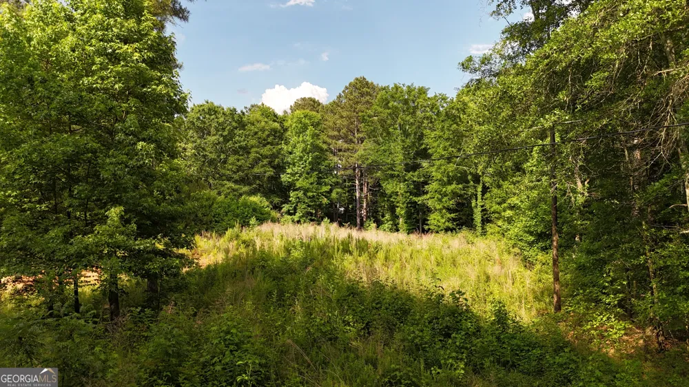 1 PARKER DRIVE Parker DR Statham, GA 30666