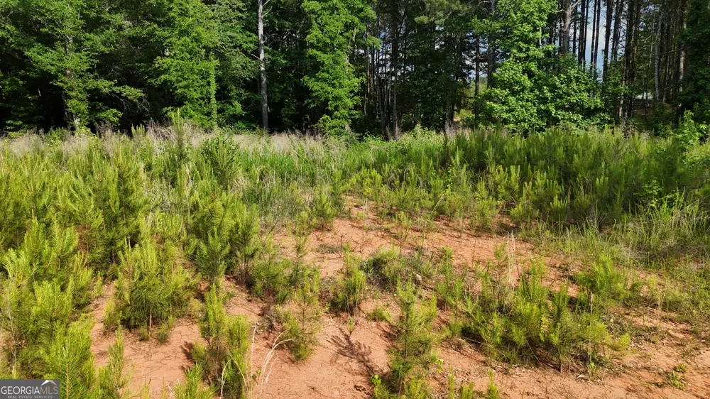 1 PARKER DRIVE Parker DR Statham, GA 30666