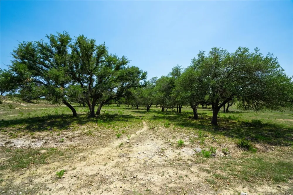 101 Mystic Overlook Drive Dripping Springs, TX 78620