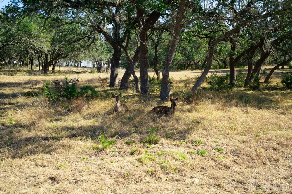 101 Mystic Overlook Drive Dripping Springs, TX 78620