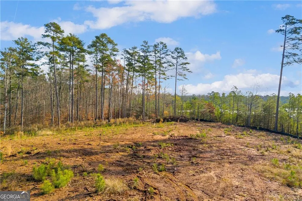 200 Line ST Buford, GA 30518
