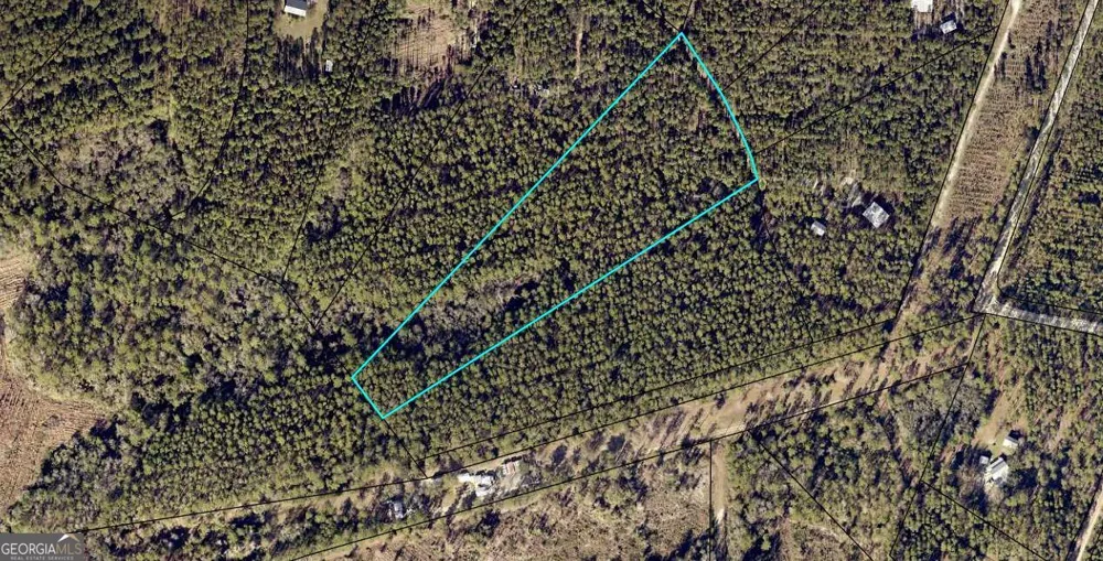 VACANT LOT 2 South Bluff RD Waverly, GA 31565