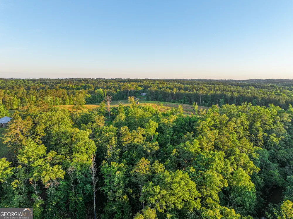 259 Garner RD Buchanan, GA 30113