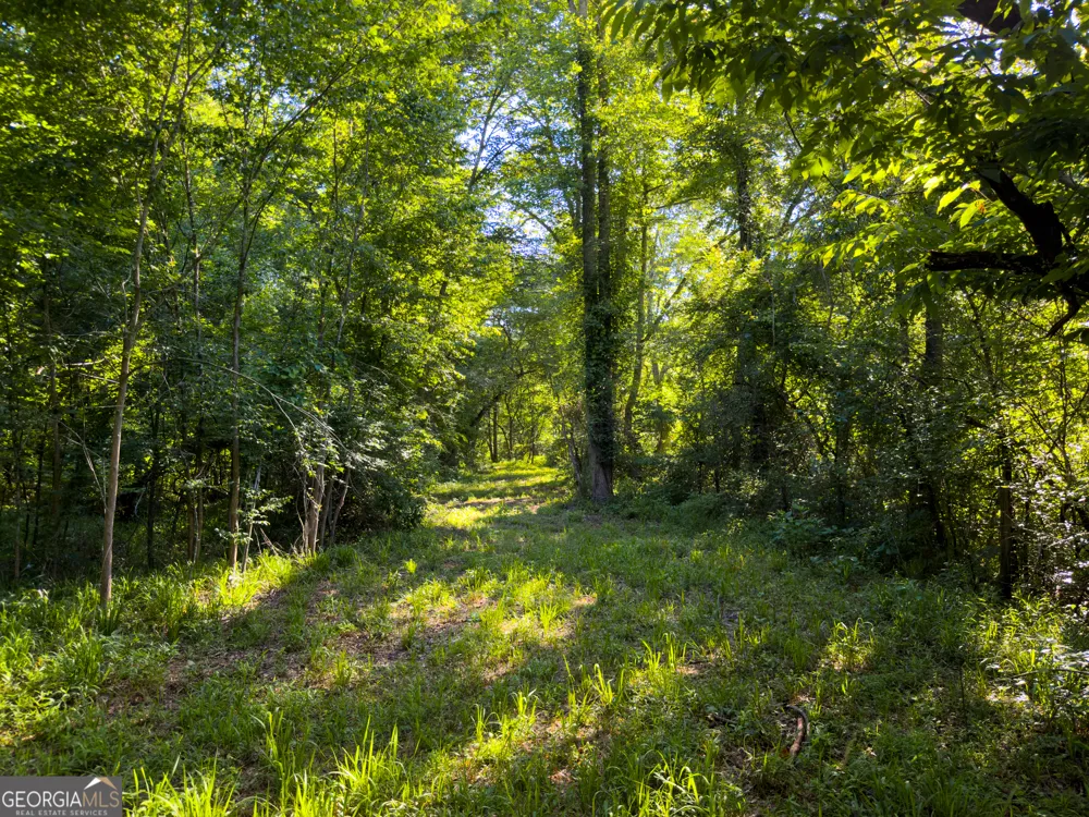 259 Garner RD Buchanan, GA 30113