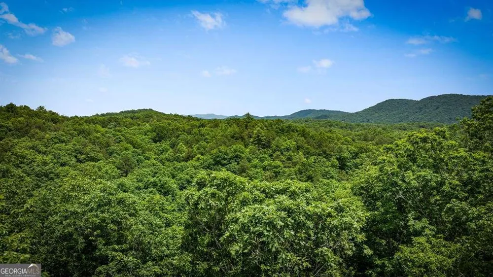 62 Tiffany LN Mineral Bluff, GA 30559