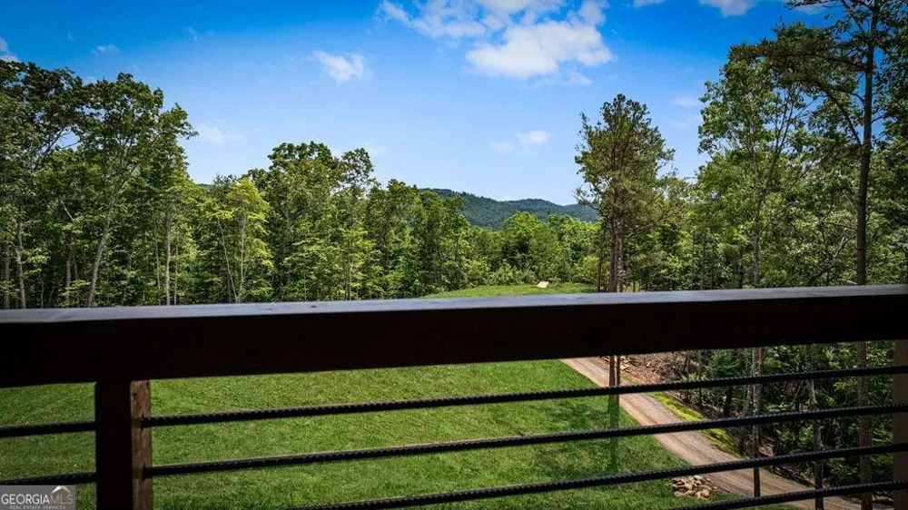 62 Tiffany LN Mineral Bluff, GA 30559