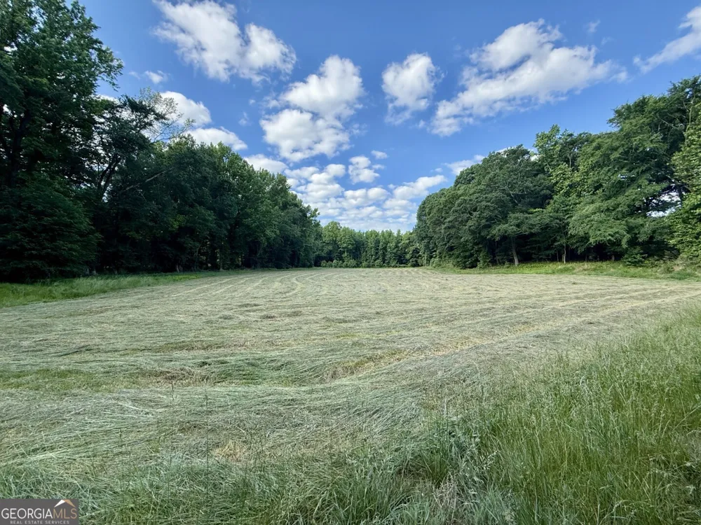 1298 Ray Weaver RD Canon, GA 30520