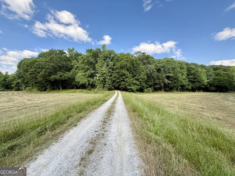1298 Ray Weaver RD Canon, GA 30520