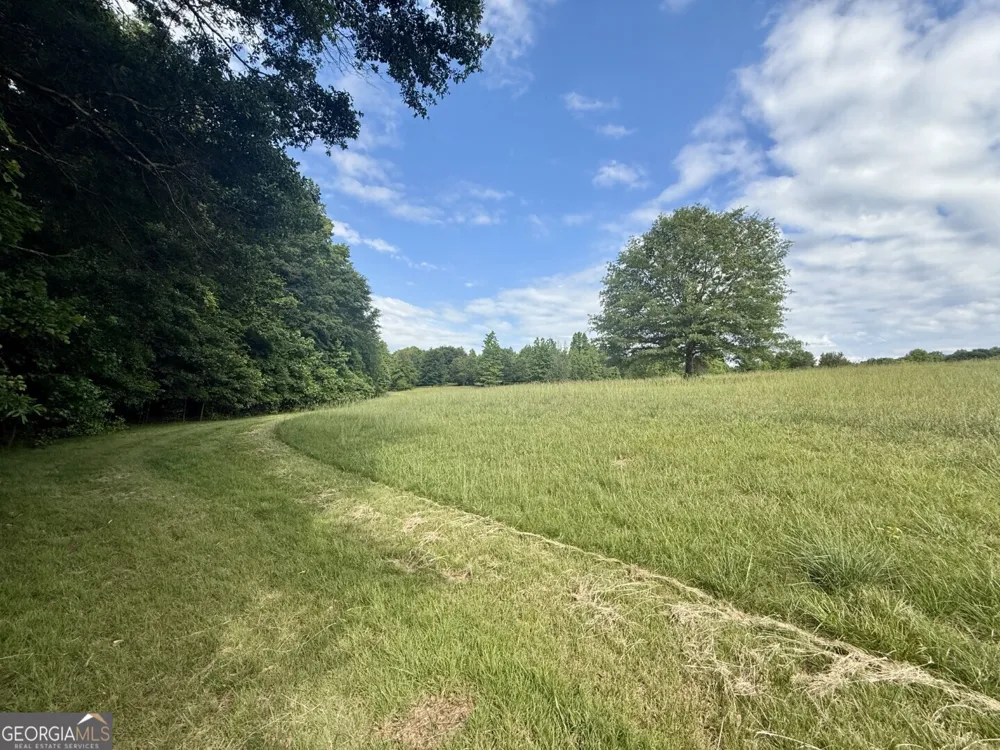 1298 Ray Weaver RD Canon, GA 30520