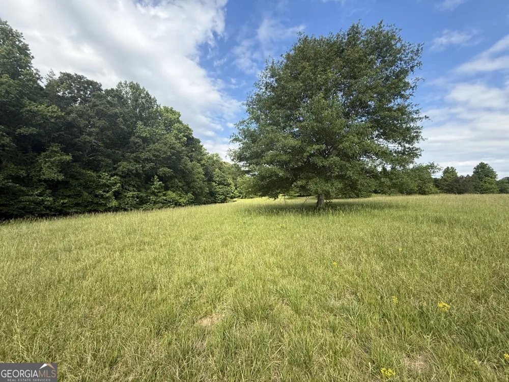 1298 Ray Weaver RD Canon, GA 30520