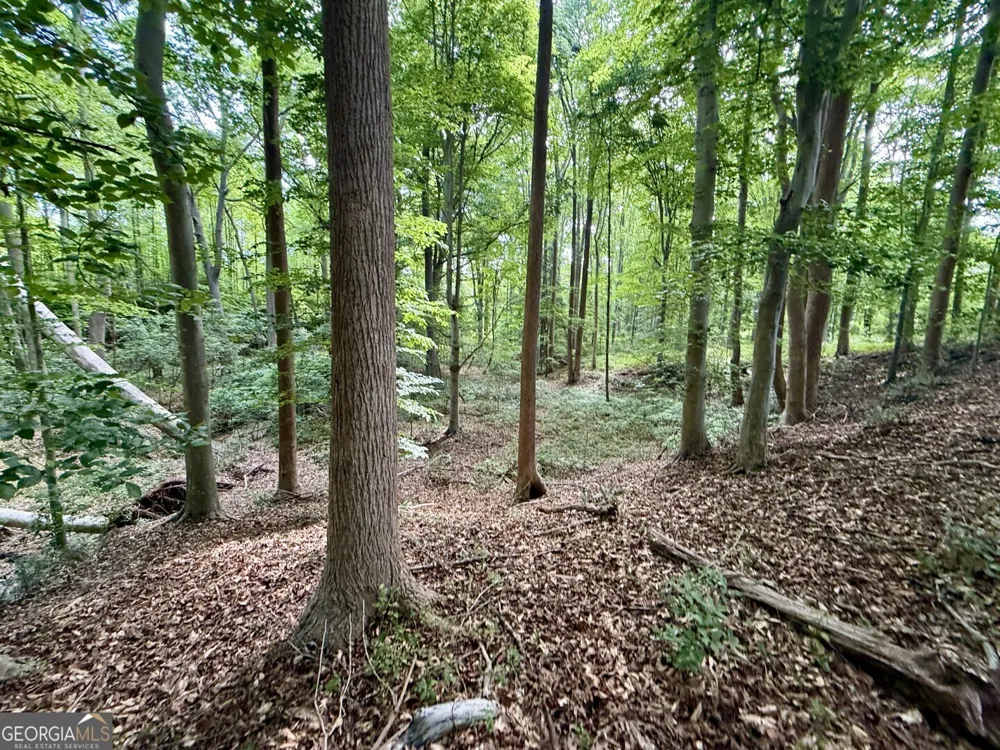 1298 Ray Weaver RD Canon, GA 30520