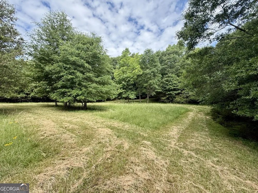 1298 Ray Weaver RD Canon, GA 30520