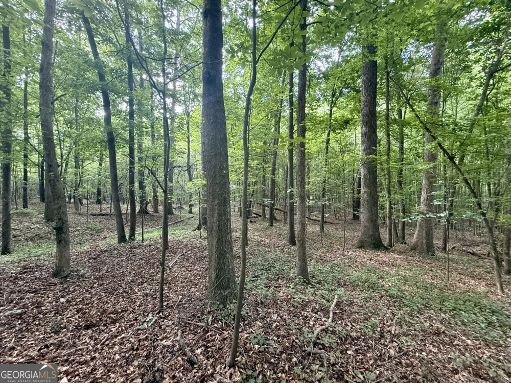 1298 Ray Weaver RD Canon, GA 30520