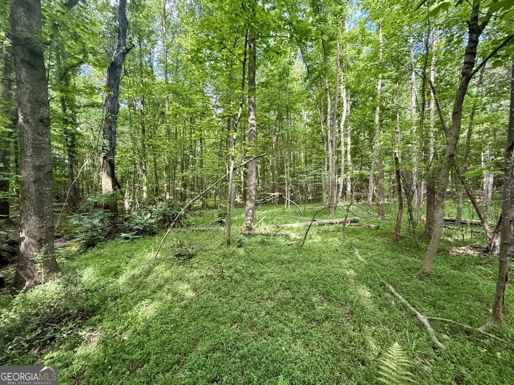 1298 Ray Weaver RD Canon, GA 30520