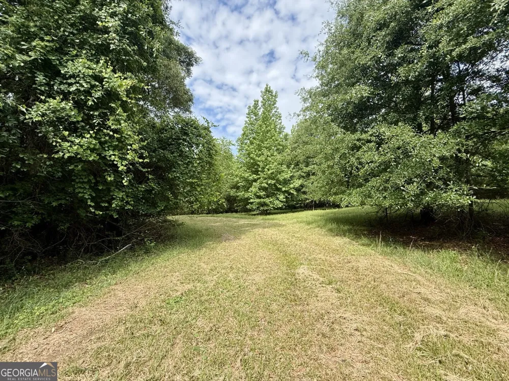 1298 Ray Weaver RD Canon, GA 30520