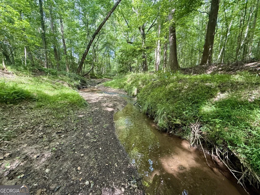 1298 Ray Weaver RD Canon, GA 30520
