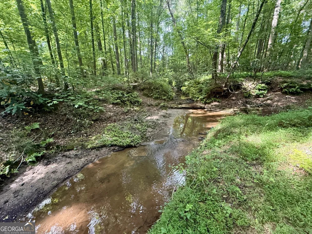 1298 Ray Weaver RD Canon, GA 30520