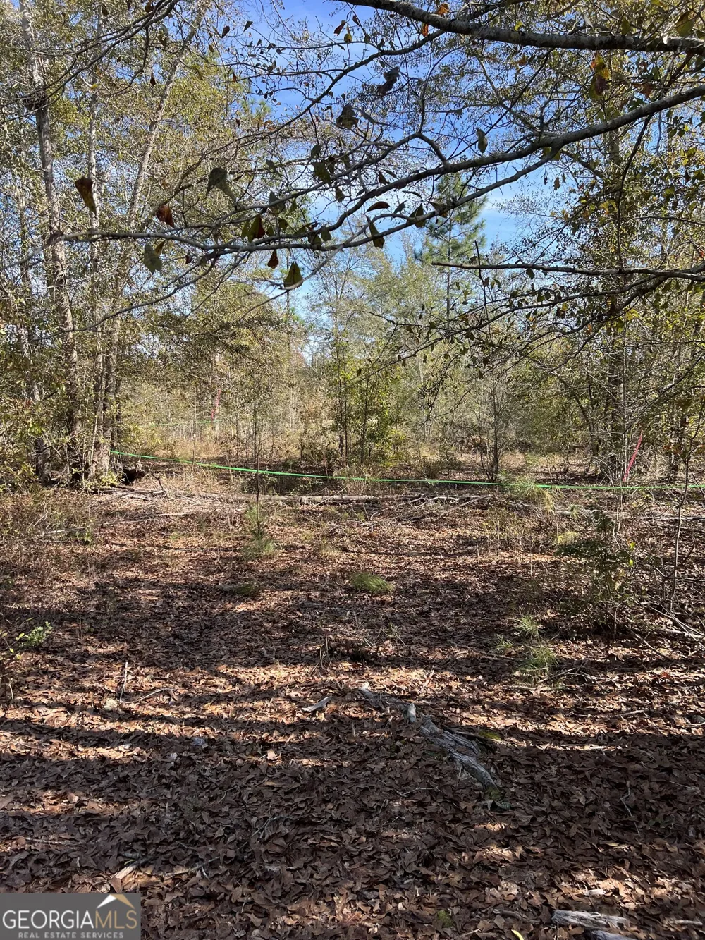 1432 Rozar Gooslby RD Eastman, GA 31023