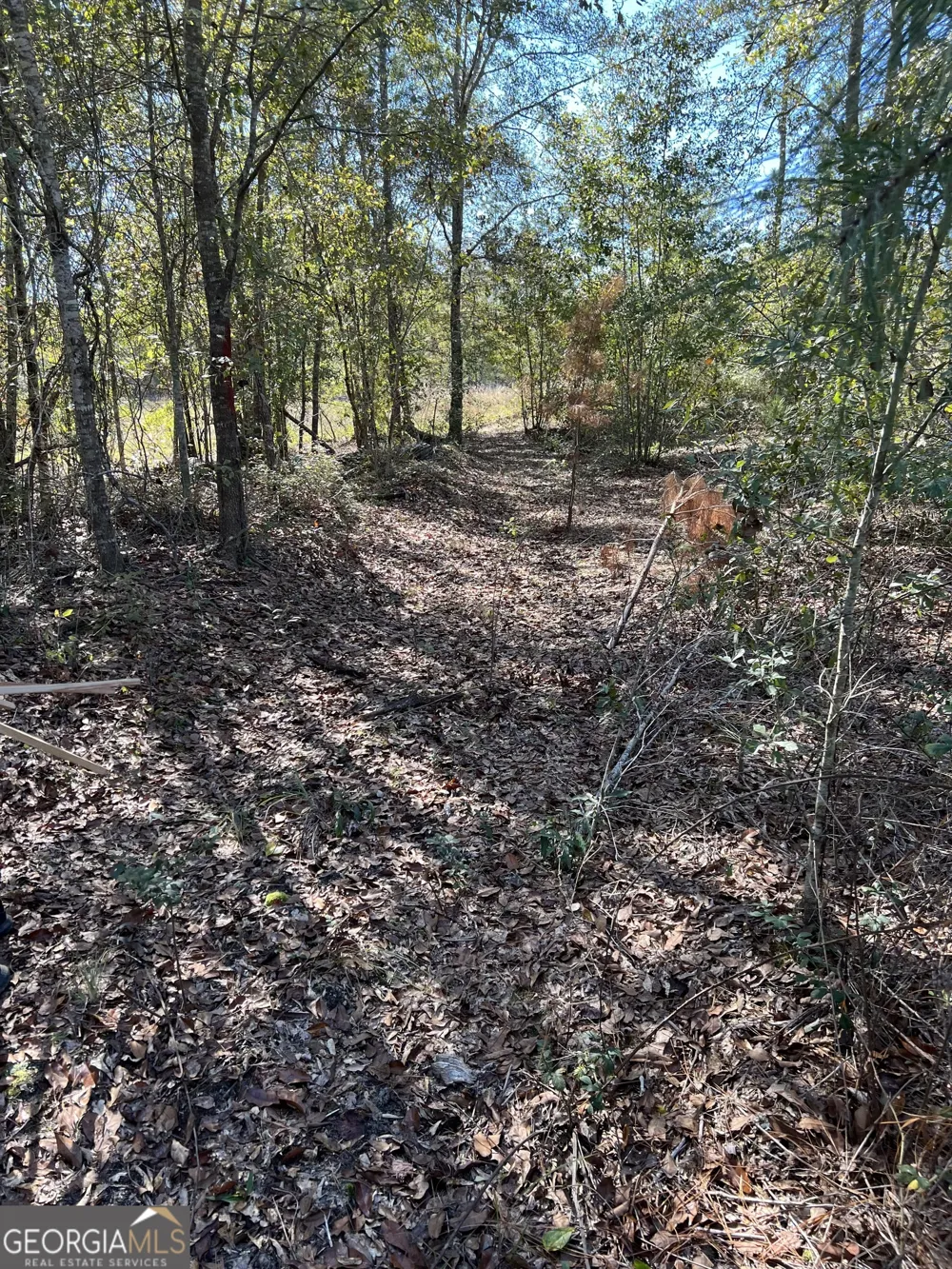 1432 Rozar Gooslby RD Eastman, GA 31023