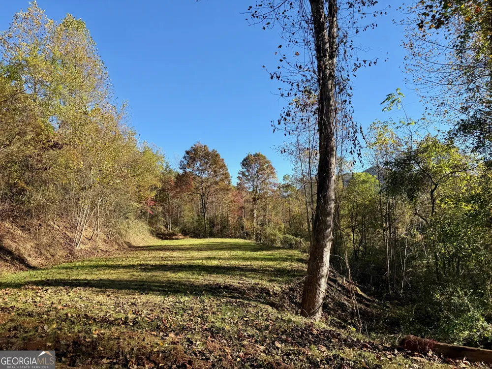 0 Zoellner LN Dillard, GA 30537