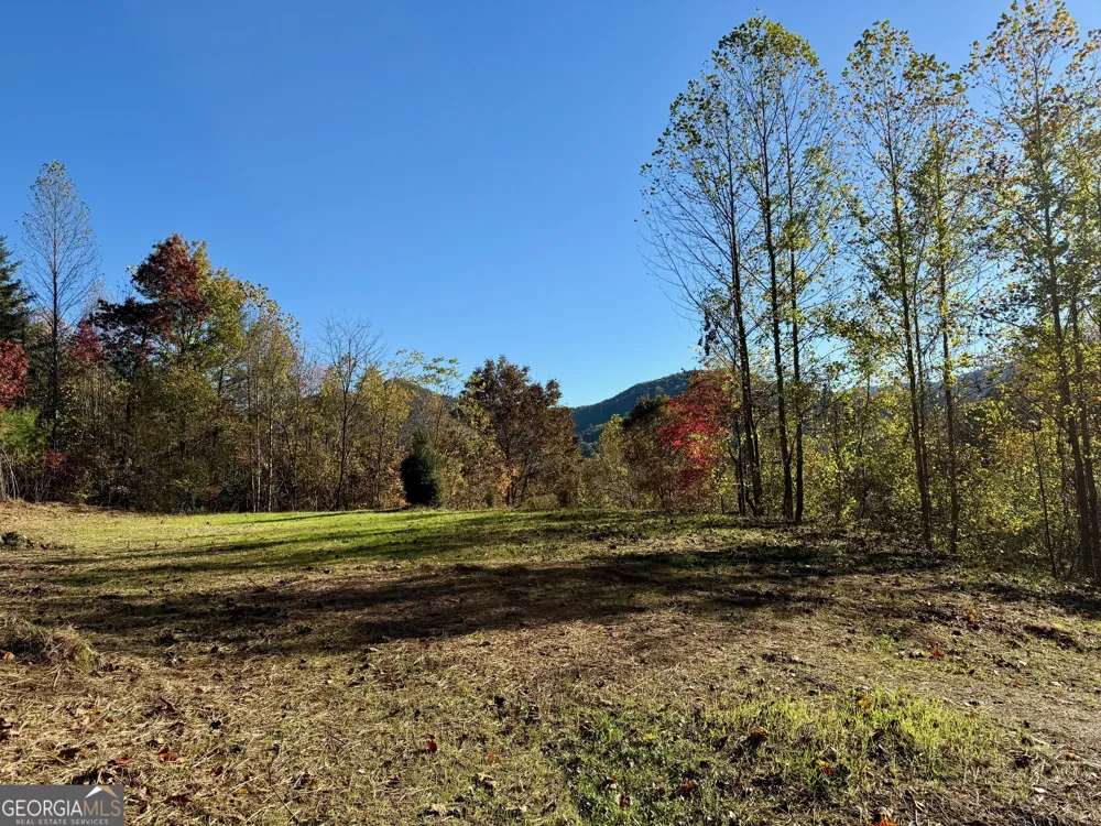 0 Zoellner LN Dillard, GA 30537