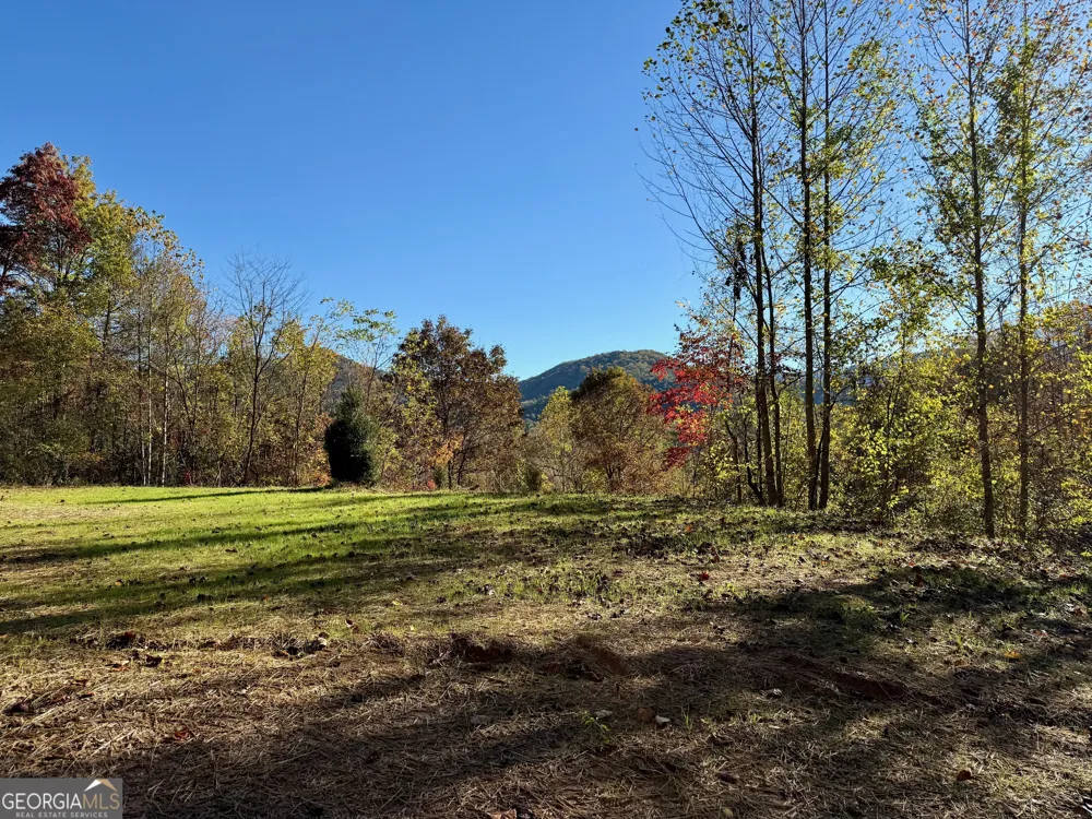 0 Zoellner LN Dillard, GA 30537