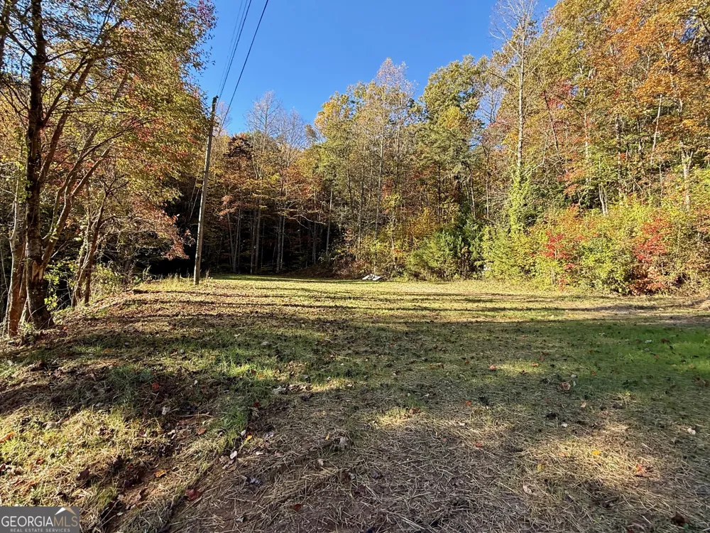 0 Zoellner LN Dillard, GA 30537