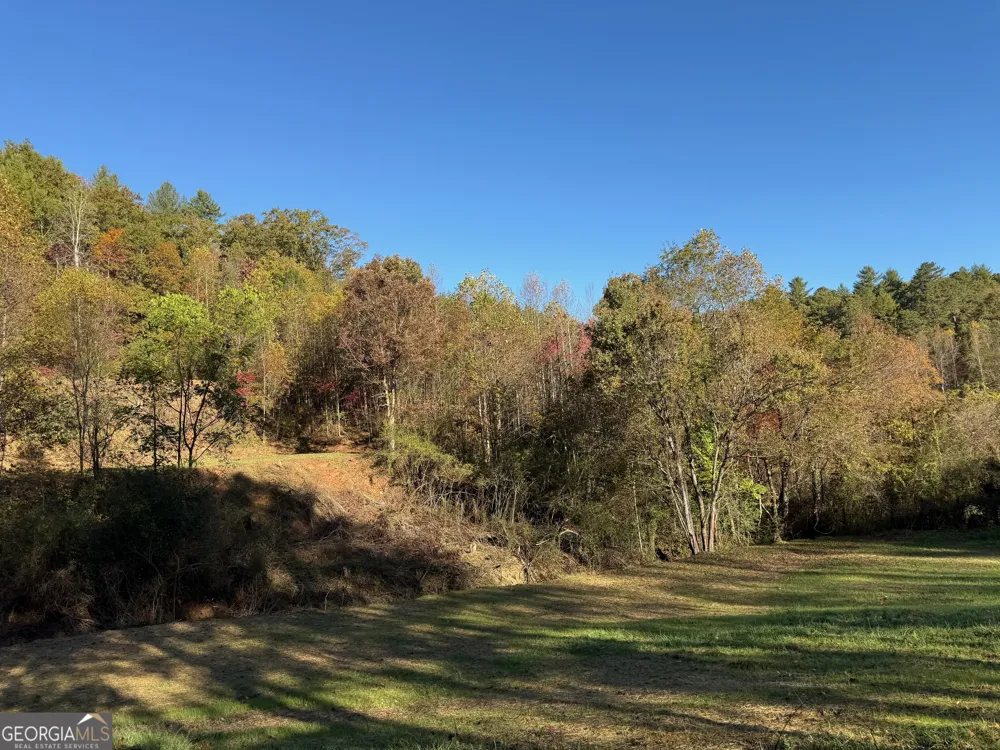 0 Zoellner LN Dillard, GA 30537