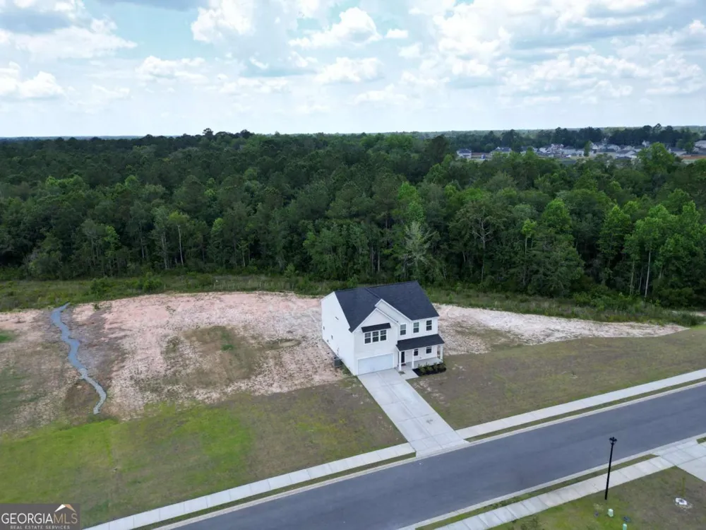 82 Tatum TRL NE Ludowici, GA 31316