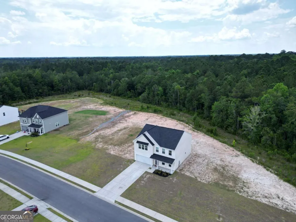 82 Tatum TRL NE Ludowici, GA 31316