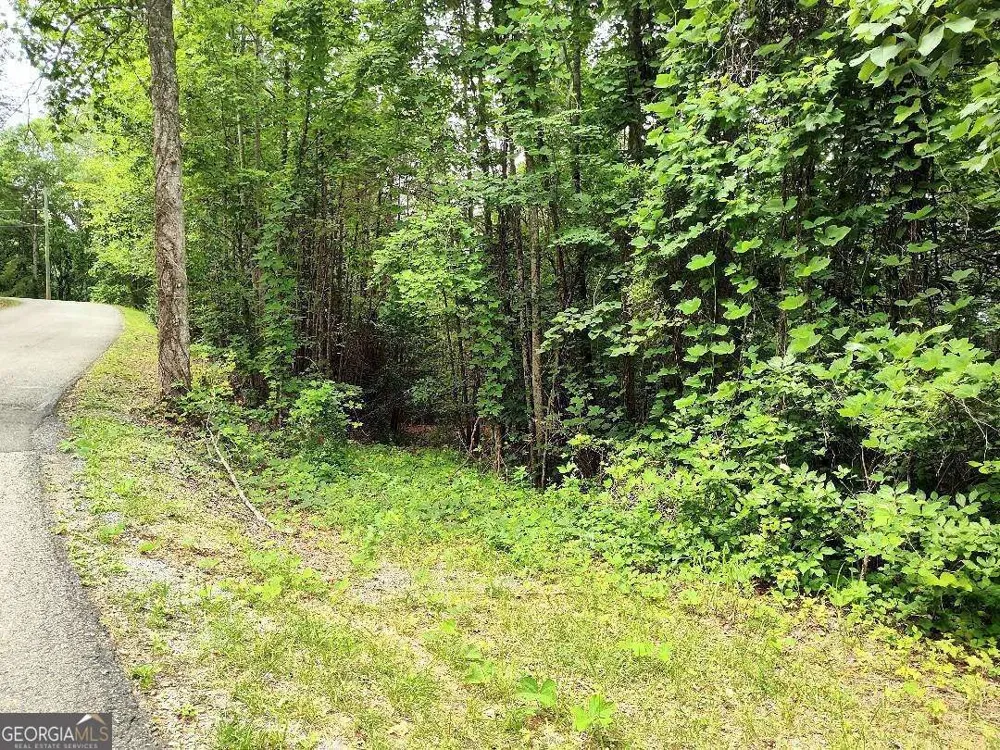 330 Adair DR Ranger, GA 30734