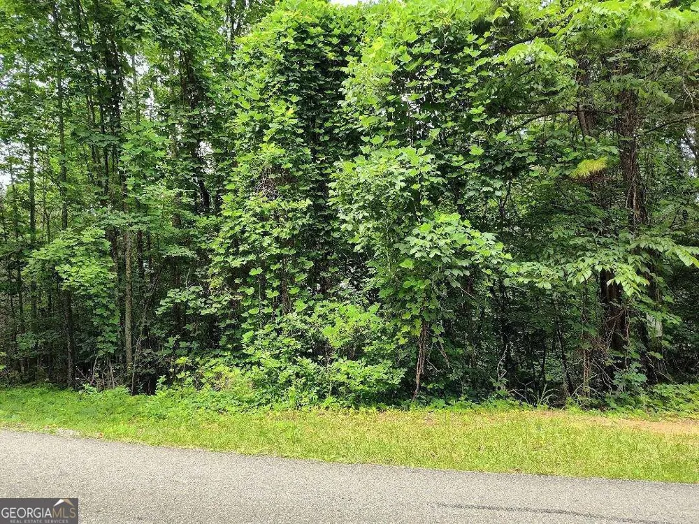 330 Adair DR Ranger, GA 30734
