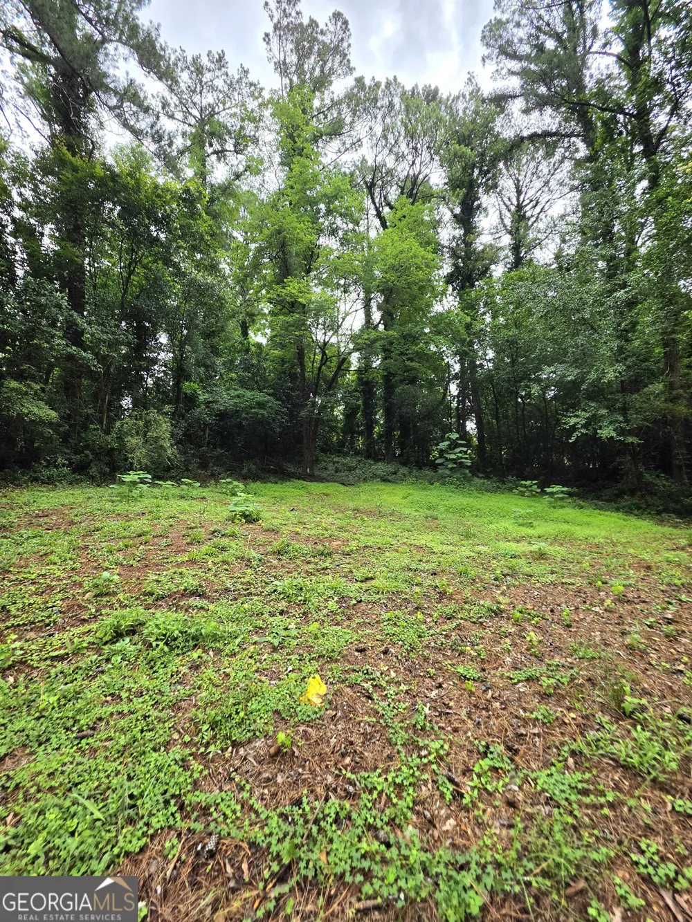 618 Simone WAY Stone Mountain, GA 30087